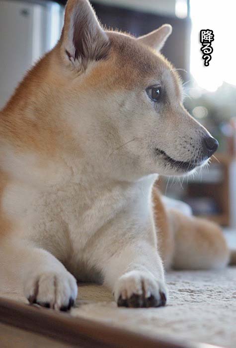 24日夜ブログ１