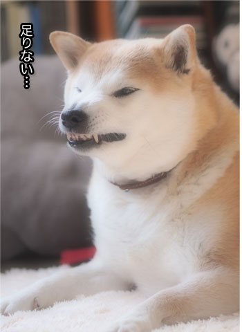 28日ブログ7.jpg