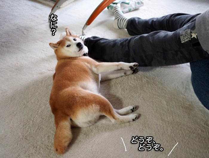 31日午後ブログ４
