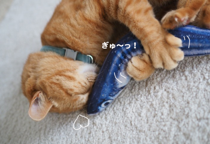 ２４日夕ブログ５