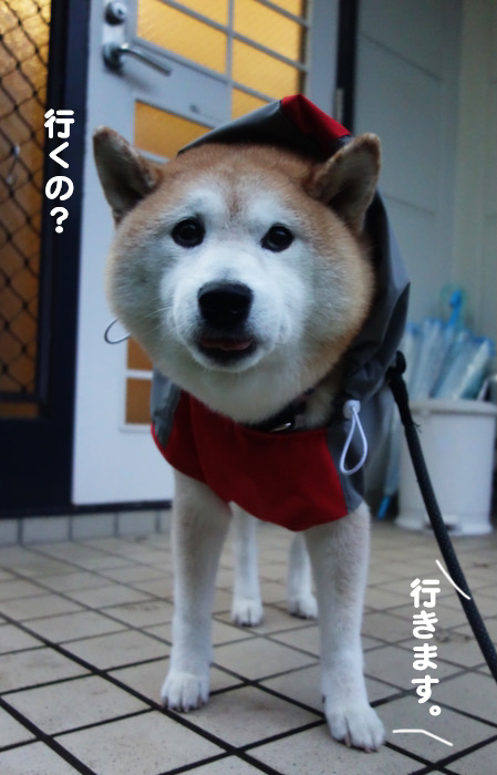 14日ブログ３