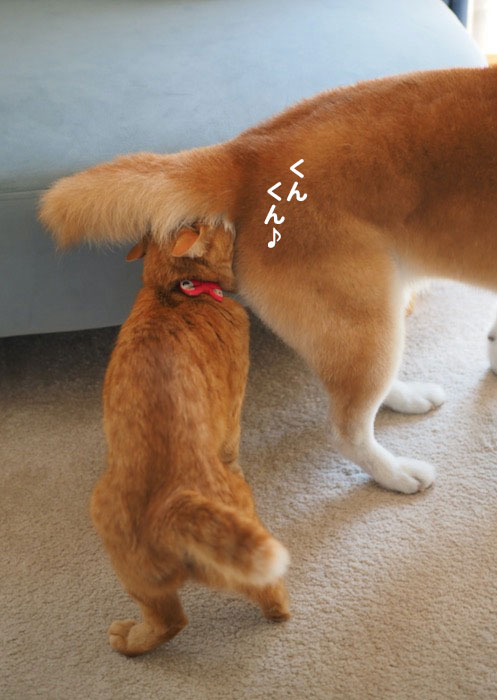 11日夕ブログ２