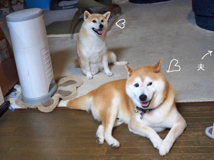 9日夕ブログ２