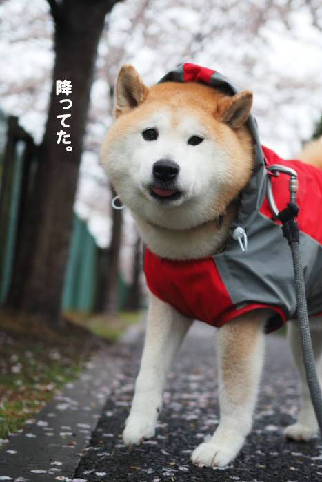 27日ブログ２