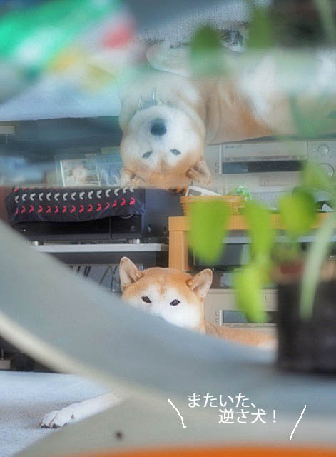 26日ブログ8