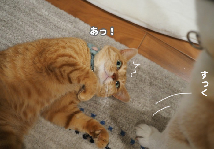 22日夕ブログ５