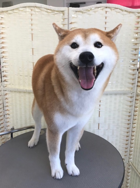 23日ブログ２