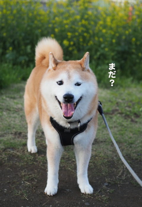 31日ブログ4