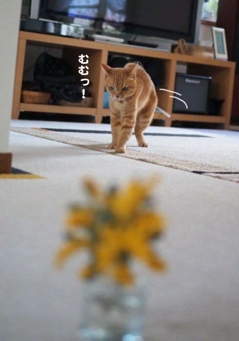 11日夕ブログ３