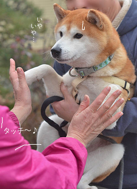 22日ブログ６
