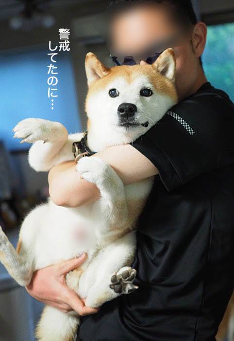 19日ブログ８