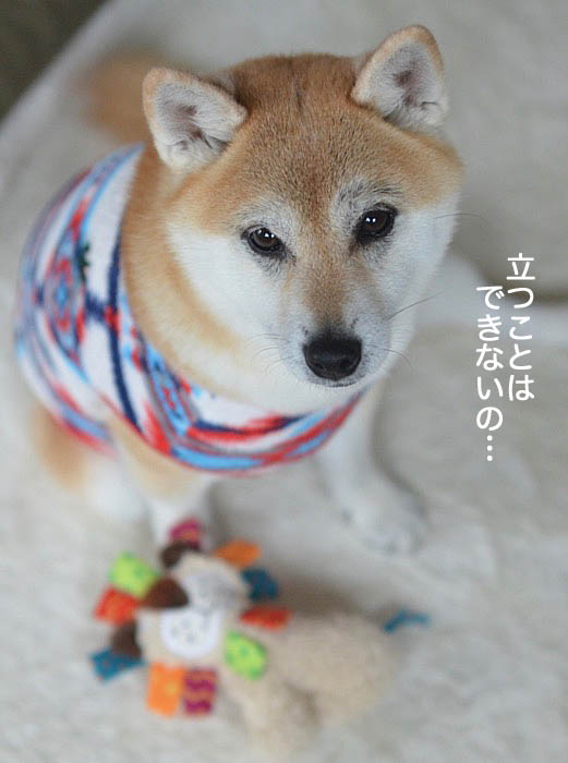 1日夜ブログ2