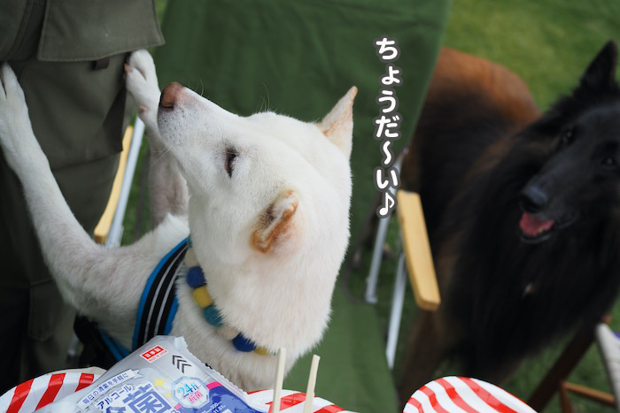 7日夕ブログ１３
