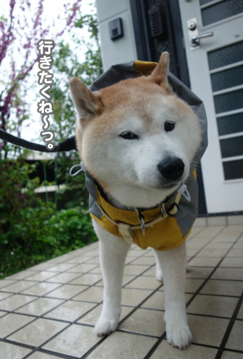 14日夕ブログ２