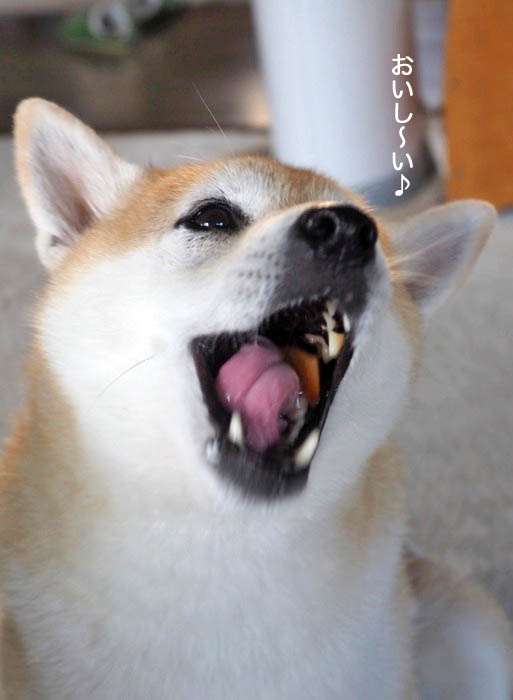 19日ブログ７