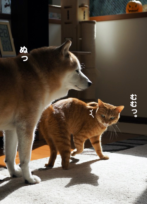 28日夕ブログ2