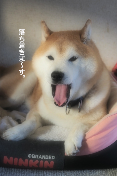 30日夜ブログ４