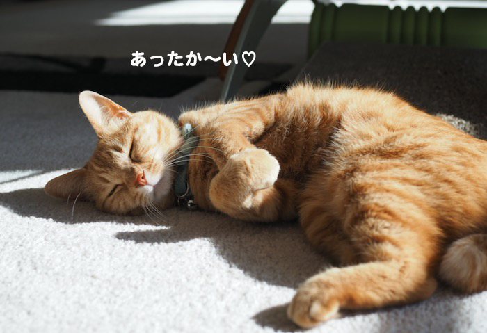 10日夕ブログ４