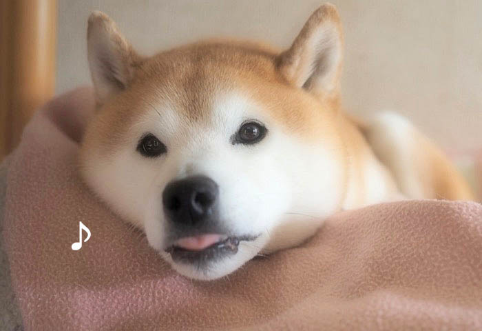 6日ブログ３