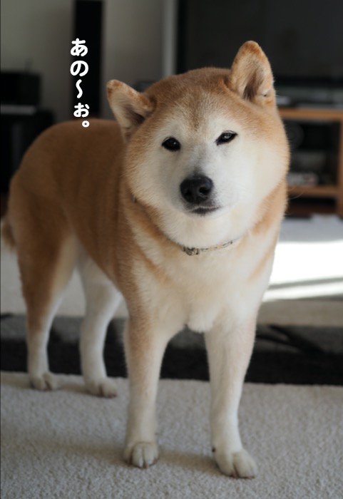 21日ブログ１