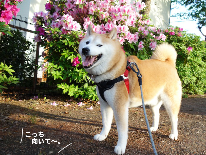 19日夕ブログ３