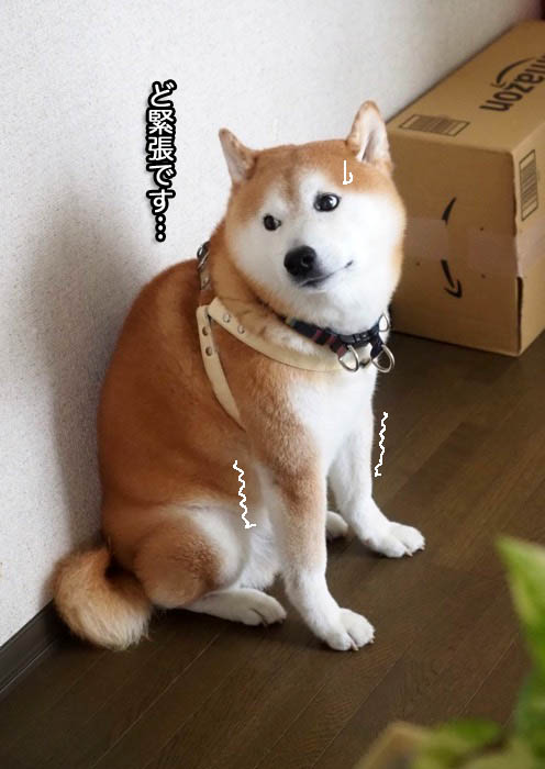 15日夕ブログ３