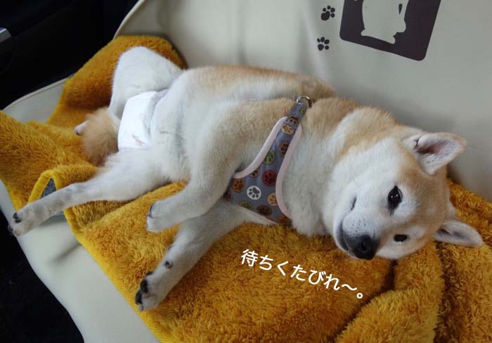 28日ブログ４