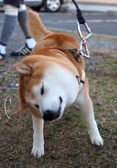 10日夜ブログ８