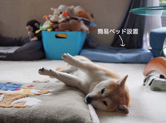 8日ブログ７