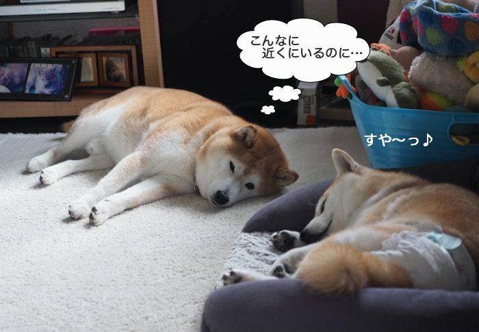 16日ブログ２
