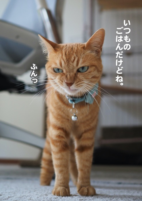 31日夕ブログ５