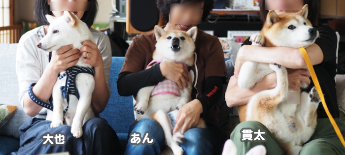 23日夕用５