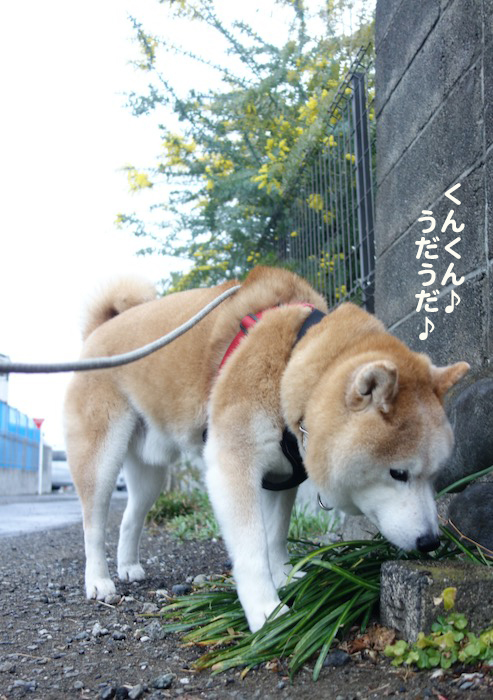 12日ブログ２
