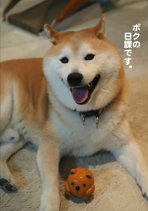 21日夕ブログ６