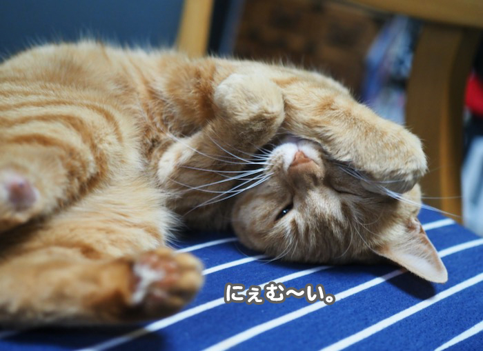 9日夕ブログ７