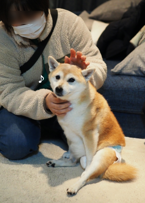 22日ブログ１