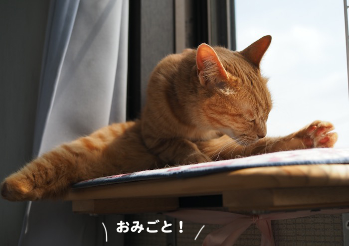 26日夕ブログ4