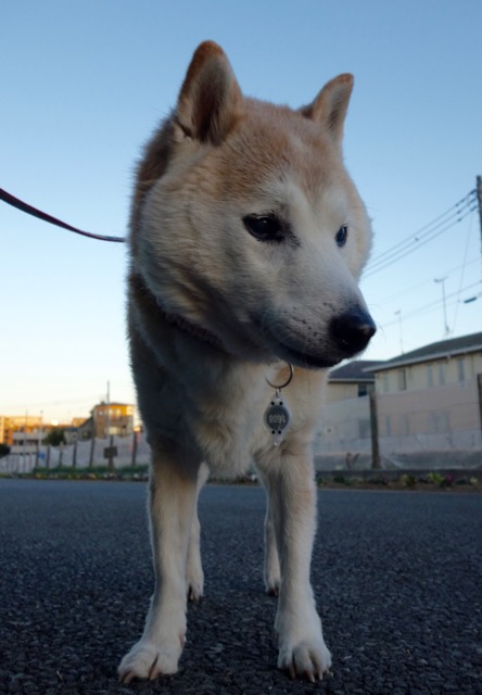 25日ブログ4