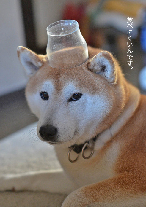 3日ブログ3