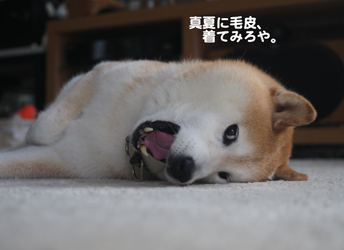 9日ブログ３