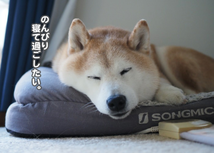 ２４日夕ブログ３