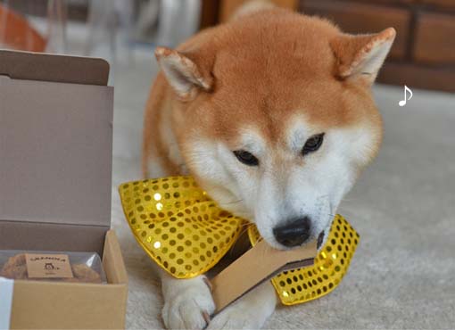29日ブログ4.jpg