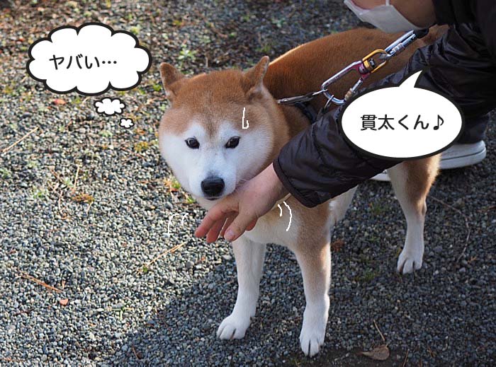 6日夜ブログ４