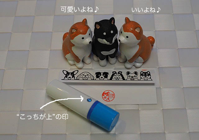 24日ブログ3
