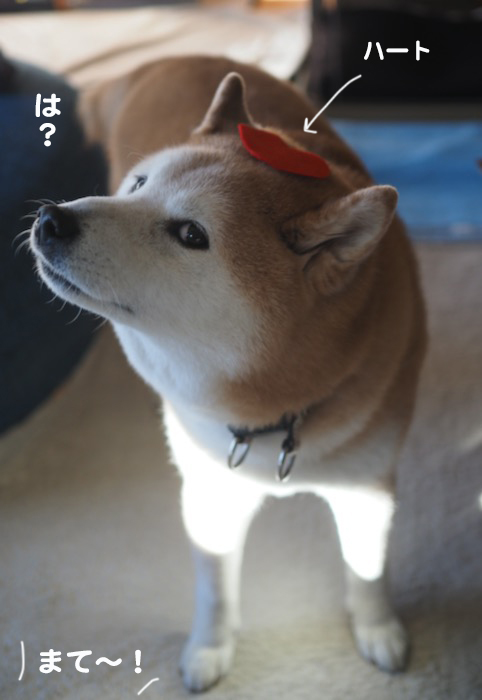 13日ブログ１