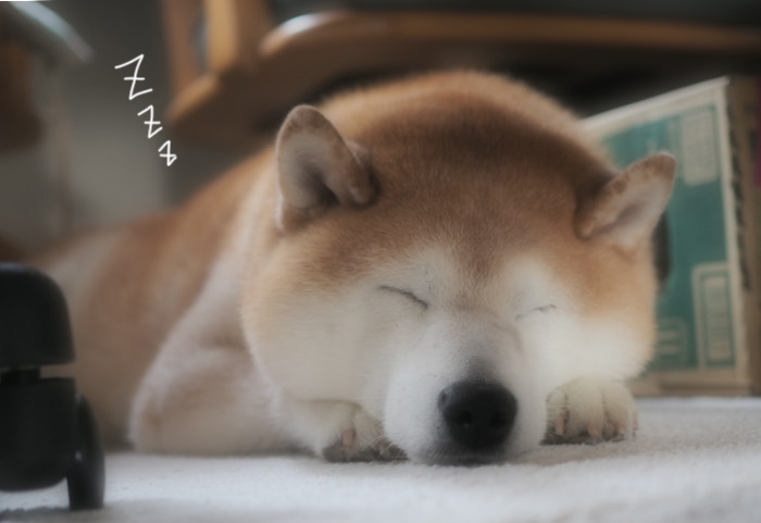 16日ブログ２