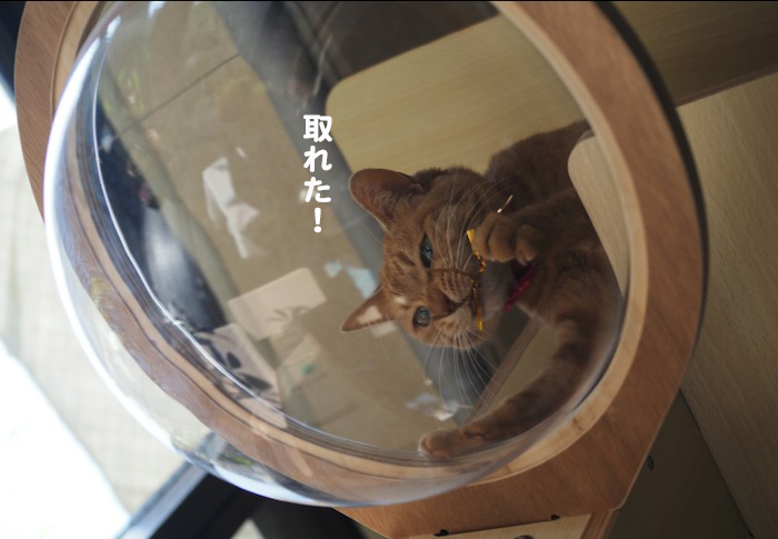5日夕ブログ８