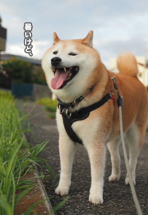 13日ブログ２