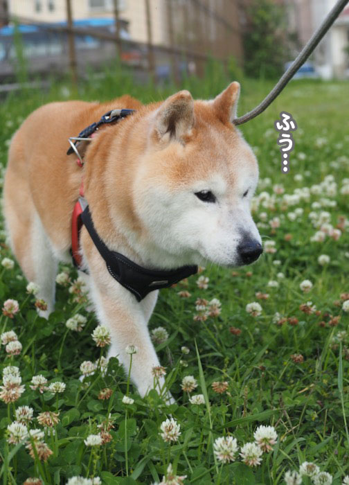 8日ブログ３