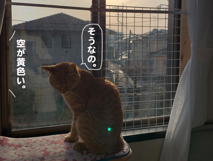 27日夕ブログ2